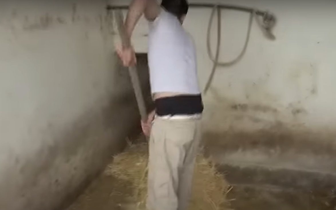 David Pușcaș a dat probe de angajare la o fermă. Când a văzut purceii, a început să urle: „Am crezut că mă mușcă de picioare”