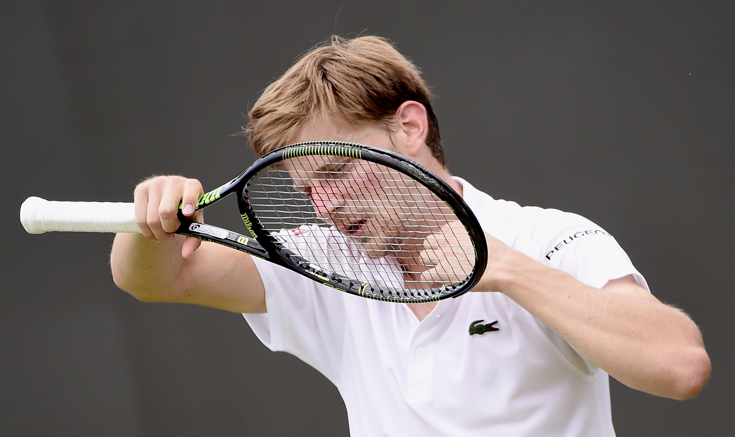 O vrăbiuță a scăpat de ochii ageri ai vulturului care veghează asupra Wimbledonului / GALERIE FOTO