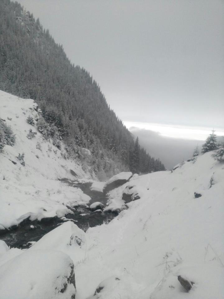 Doi fraţi au dispărut în Munţii Făgăraş. Jandarmii și pompierii îi caută de trei zile