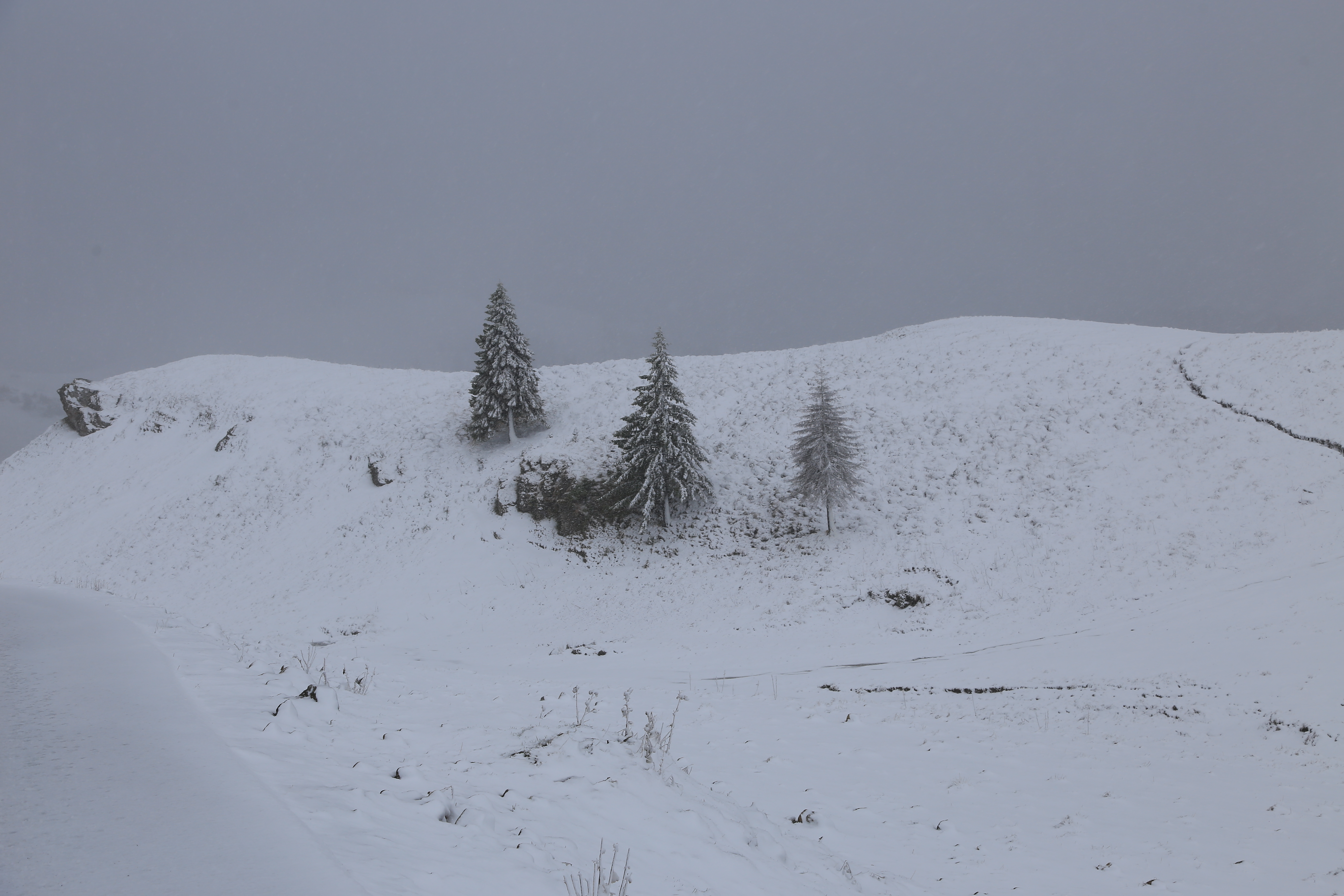 FOTO Peisaj feeric la munte! A nins ca în plină iarnă pe Valea Prahovei