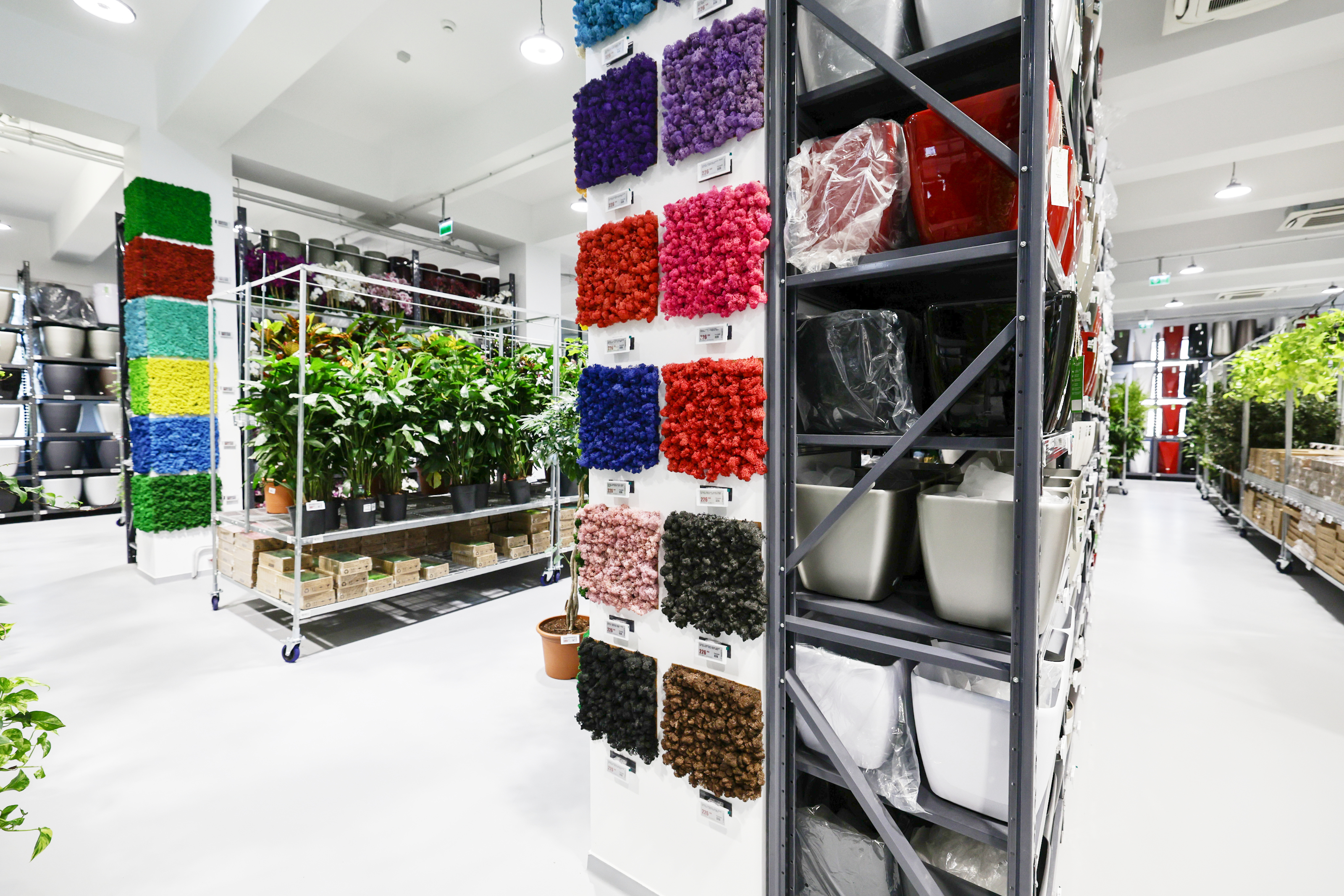 Mall-ul de plante din București are cinci niveluri cu peste 1.200 de soiuri, ghivece inteligente și un mesteacăn artificial care costă cât un apartament