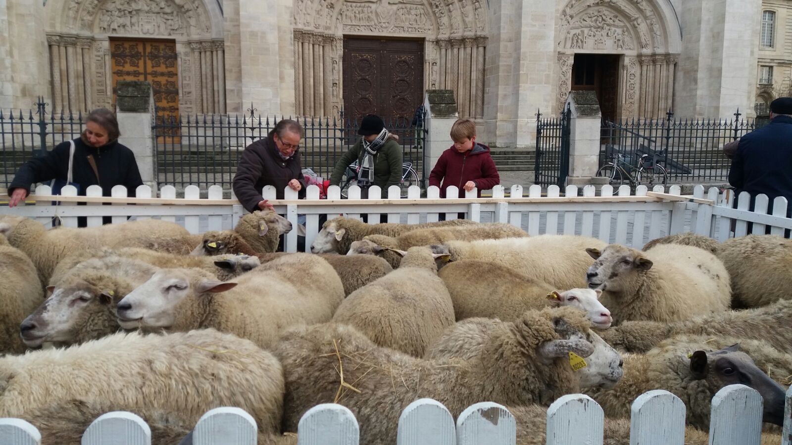 FOTO/Târgul de Crăciun din Saint-Denis - Paris are puțin din farmecul românesc. Un artizan francez imprimă haine cu imagini din București