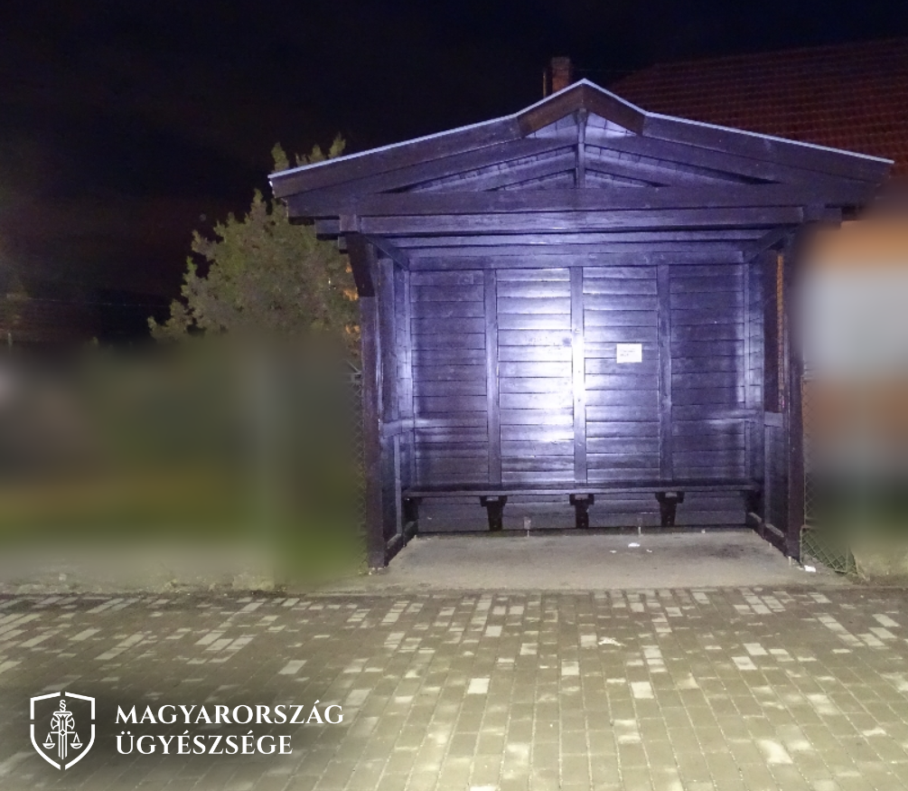 Leköpködte és megrúgta az ittas tinilány a pátyi közterest, nem lett jó vége