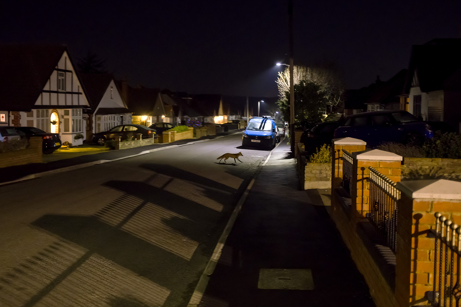 REPORTAJ. După 12 ani la Londra, doi tineri români au decis să se întoarcă acasă, dar ceva le-a schimbat planurile în ultima clipă: „În primii ani, aș fi zis că sunt integrată, acum nu știu dacă sunt”