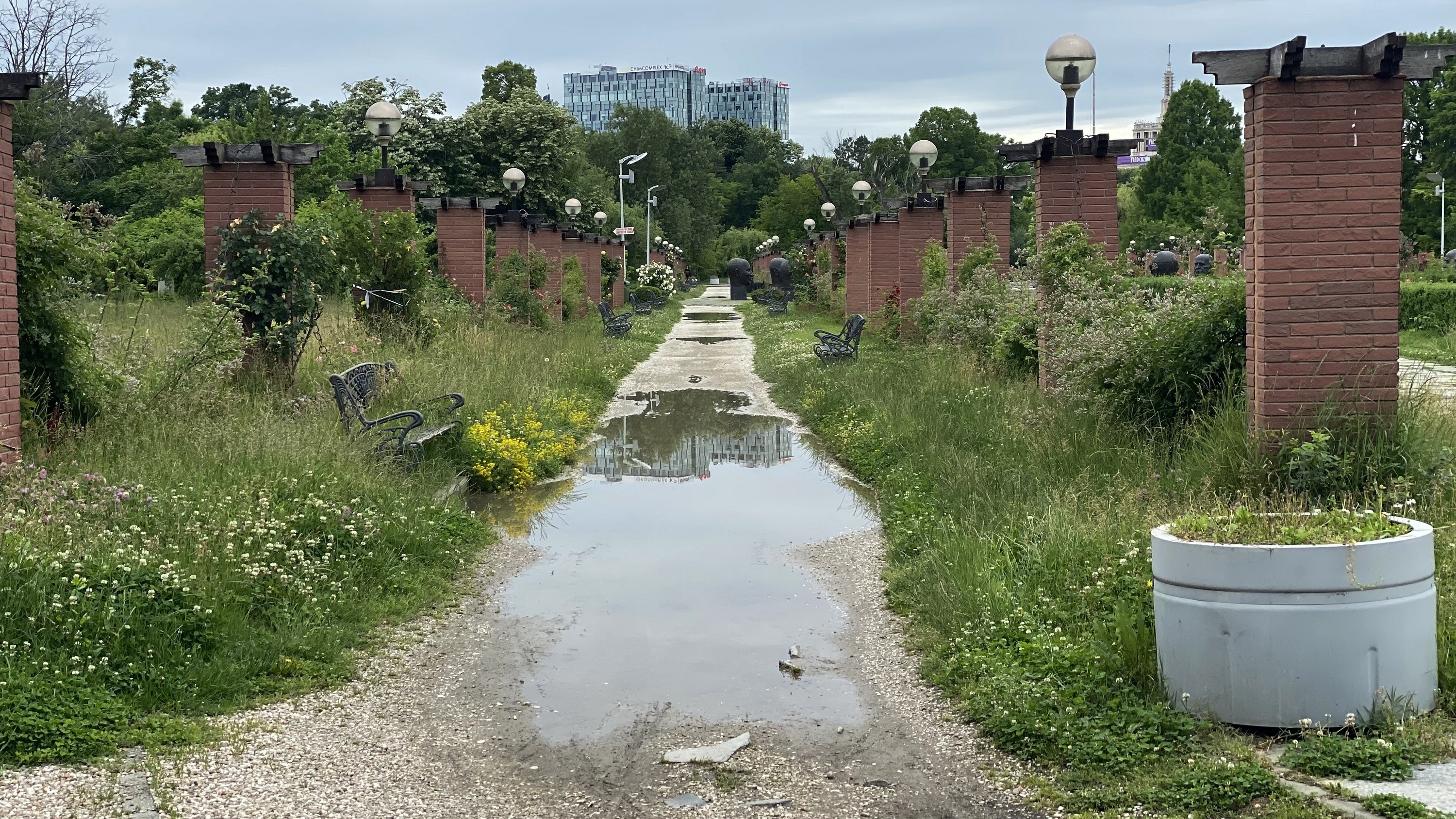 Degradarea continuă în parcurile din București. Insula Trandafirilor din Herăstrău, înghițită de buruieni