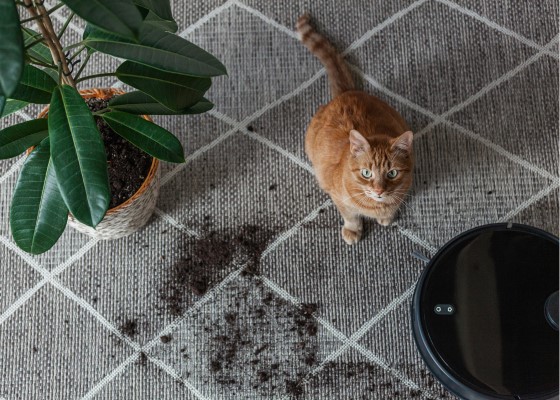 Hat dolog, amit tudnod kell, mielőtt robotporszívót veszel - Ez derült ki a Tudatos Vásárlók nagy terméktesztjéből - videó