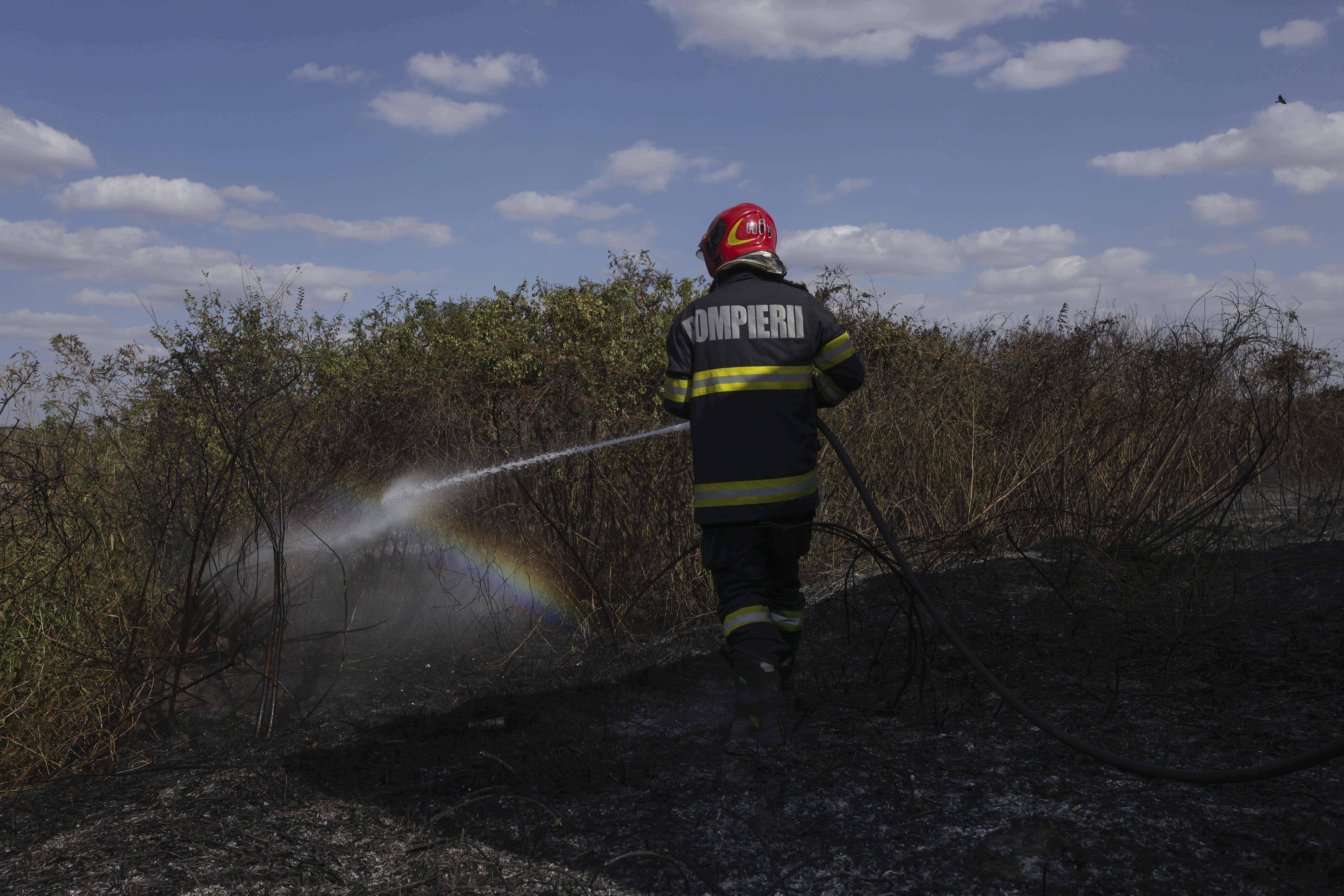 Incendiu uriaș de vegetație în Maramureș. Flăcările au ajuns în zona locuințelor. Circa 90 de oameni, evacuați