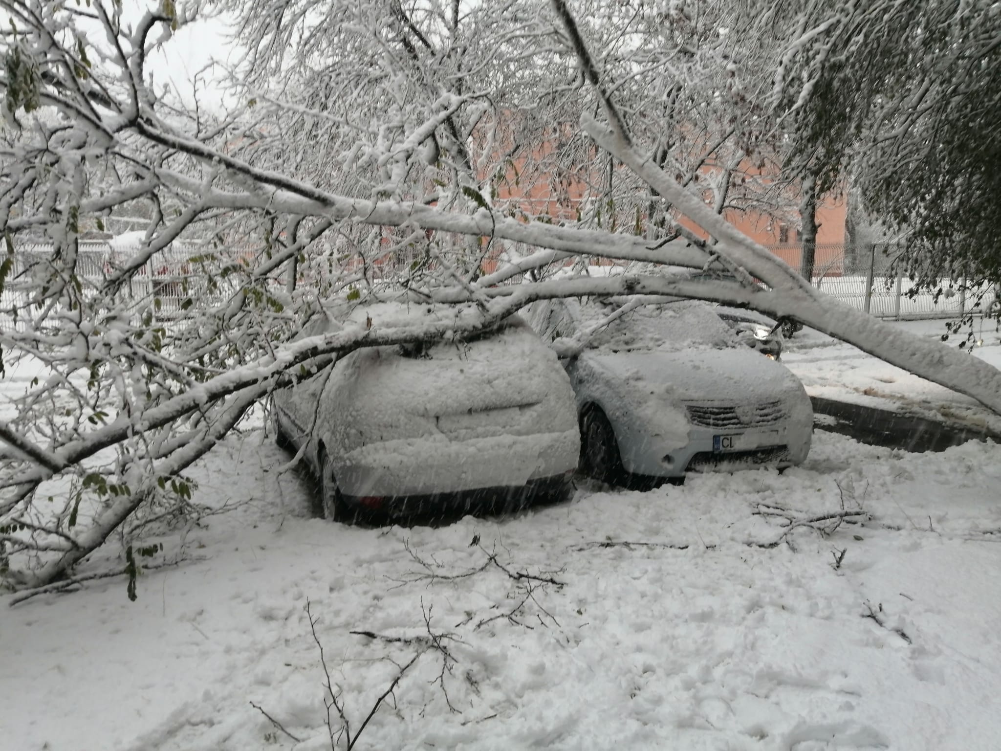 Viscolul și ninsorile au provocat haos în mai multe județe. Sute de localități fără curent, în timp ce orașul Constanța a rămas fără apă potabilă timp de cinci ore