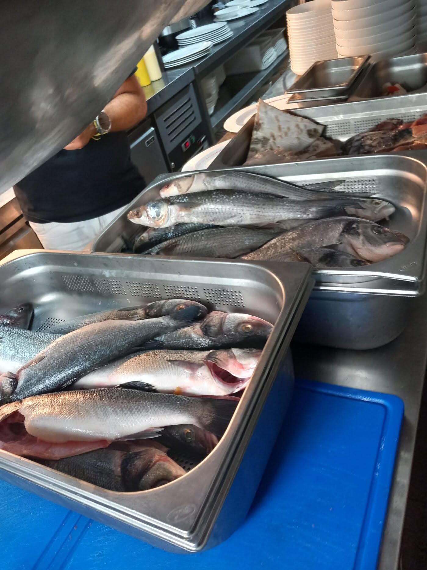 Amendă de 10.000 de lei și 94 kg de alimente retrase de la restaurantul Golful Pescarilor, de lângă Constanța. De ce au închis inspectorii localul | VIDEO