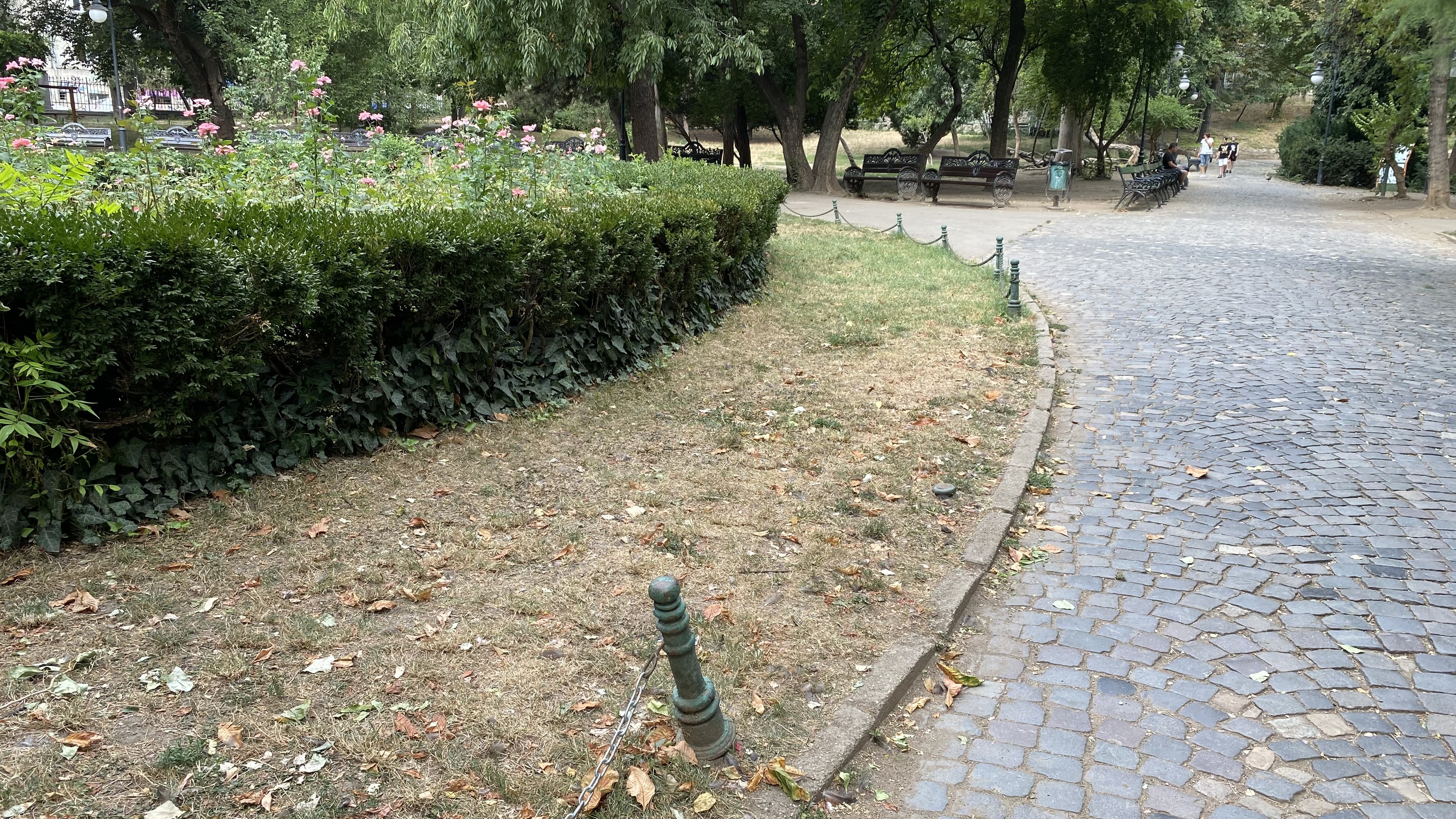 Cișmigiu, mândria tristă a Bucureștiului: pământ în loc de iarbă, alei distruse, garduri rupte și mirosuri insuportabile