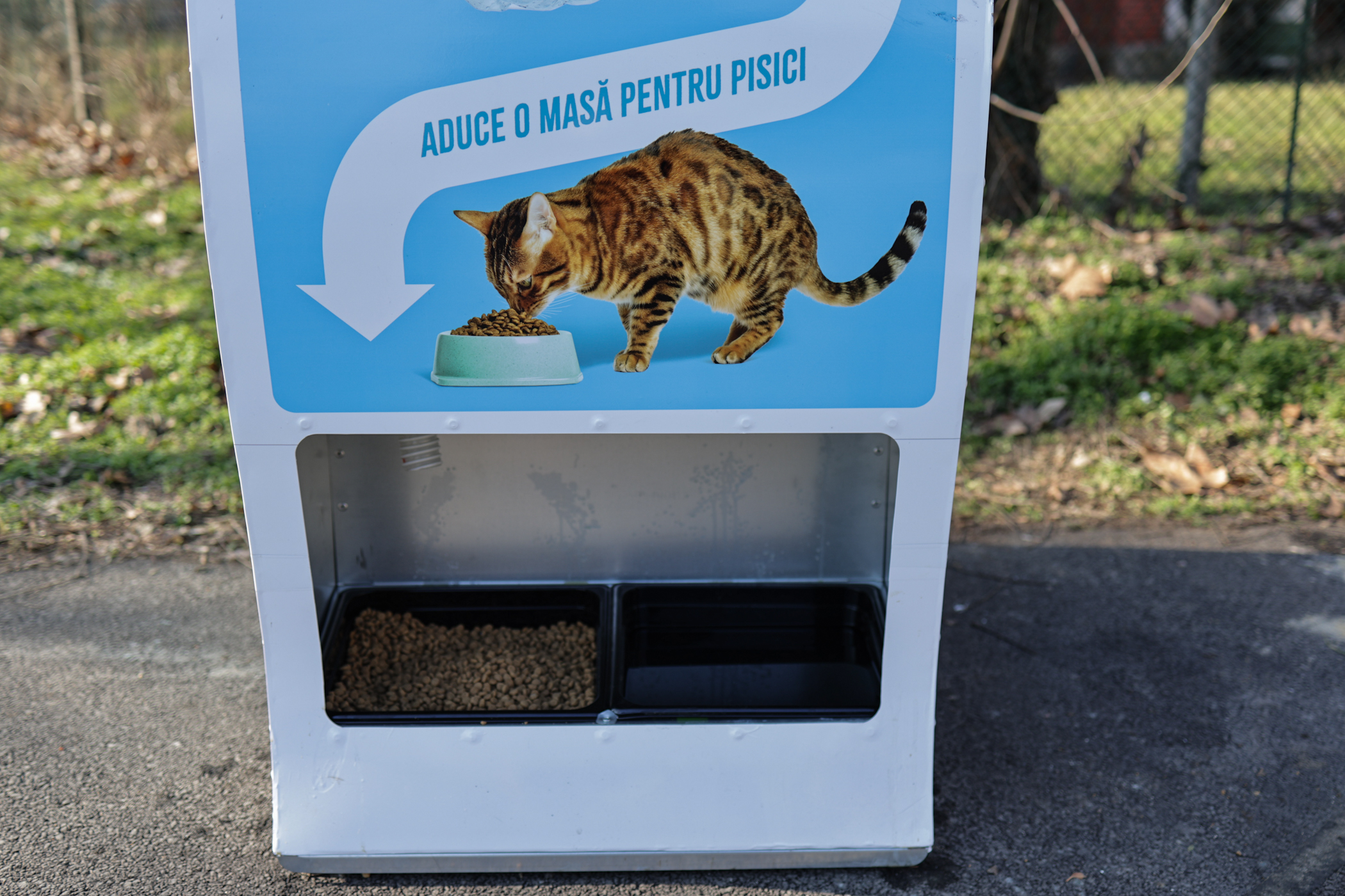 Donezi o sticlă de plastic și hrănești gratuit pisicile din parcul Tineretului din București. A fost montat primul dispozitiv inteligent pentru animăluțe