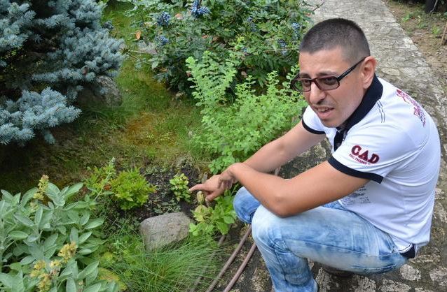 Un orădean are în grădină zeci de soiuri de plante şi pomi de pe cinci continente FOTO