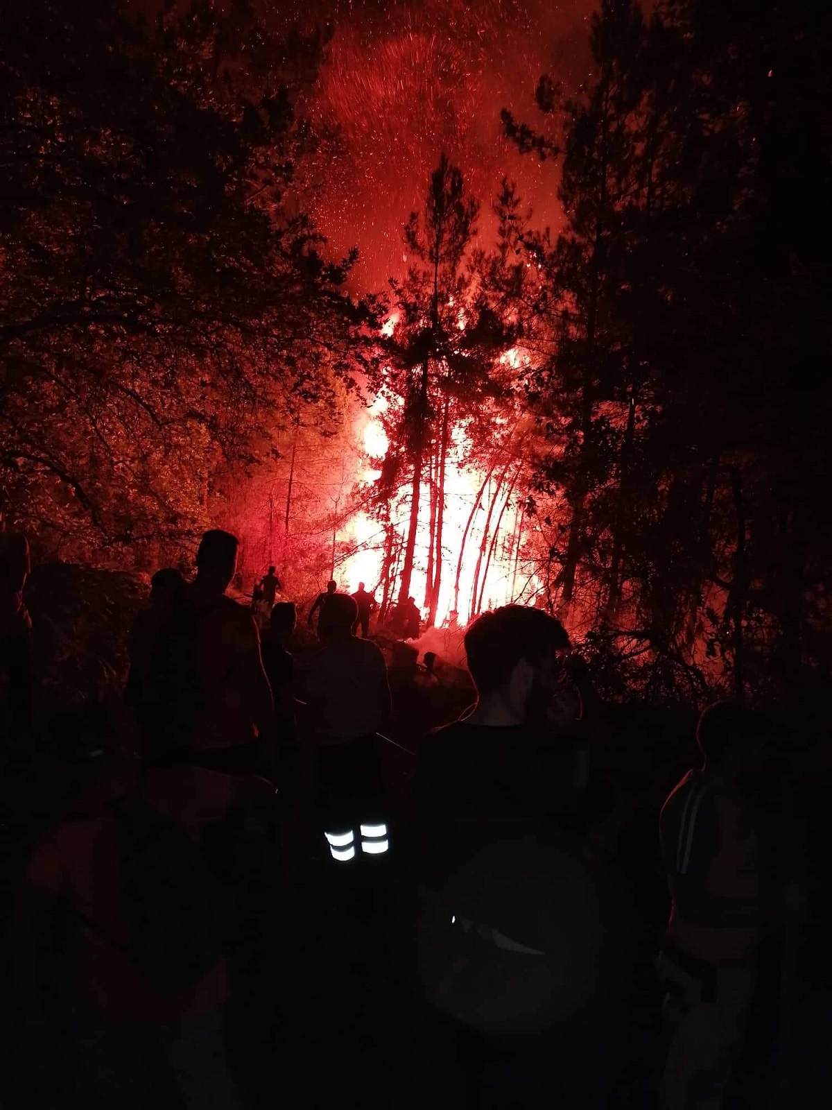 Incendiu puternic în Thassos, insula grecească preferată de români. Mesaj de alertă, trimis turiștilor - VIDEO