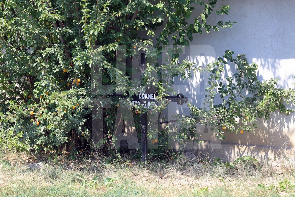 EXCLUSIV/ Sinucidere și crimă la Brănești. Mama și-a împins fata cea mare în fața trenului, pe cele doua mici le-a luat în brațe și a sărit pe șine!