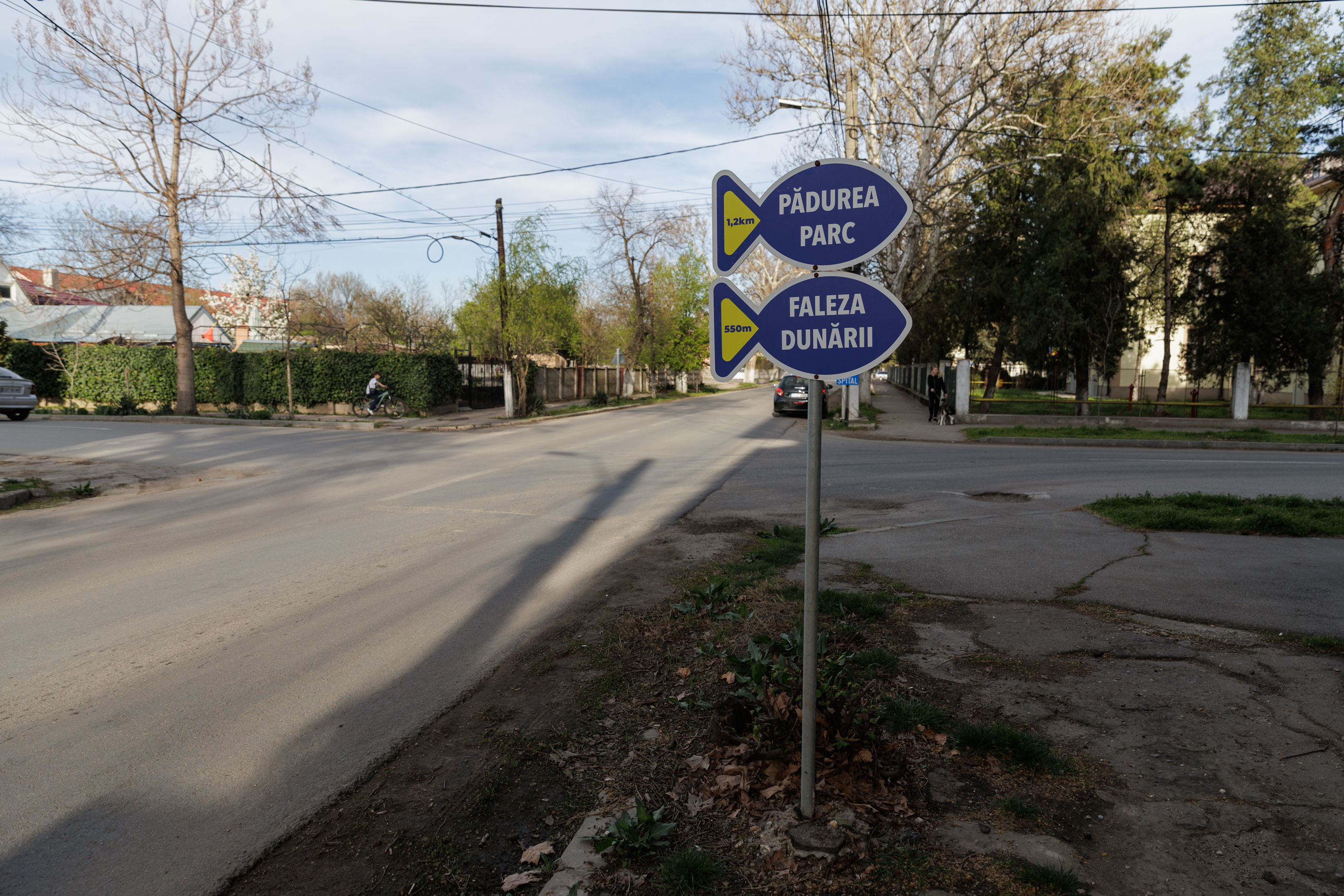 FOTOREPORTAJ. Frumusețea fără viitor a „celui mai urât oraș din România”: berzele s-au întors la Corabia, dar turiștii întârzie