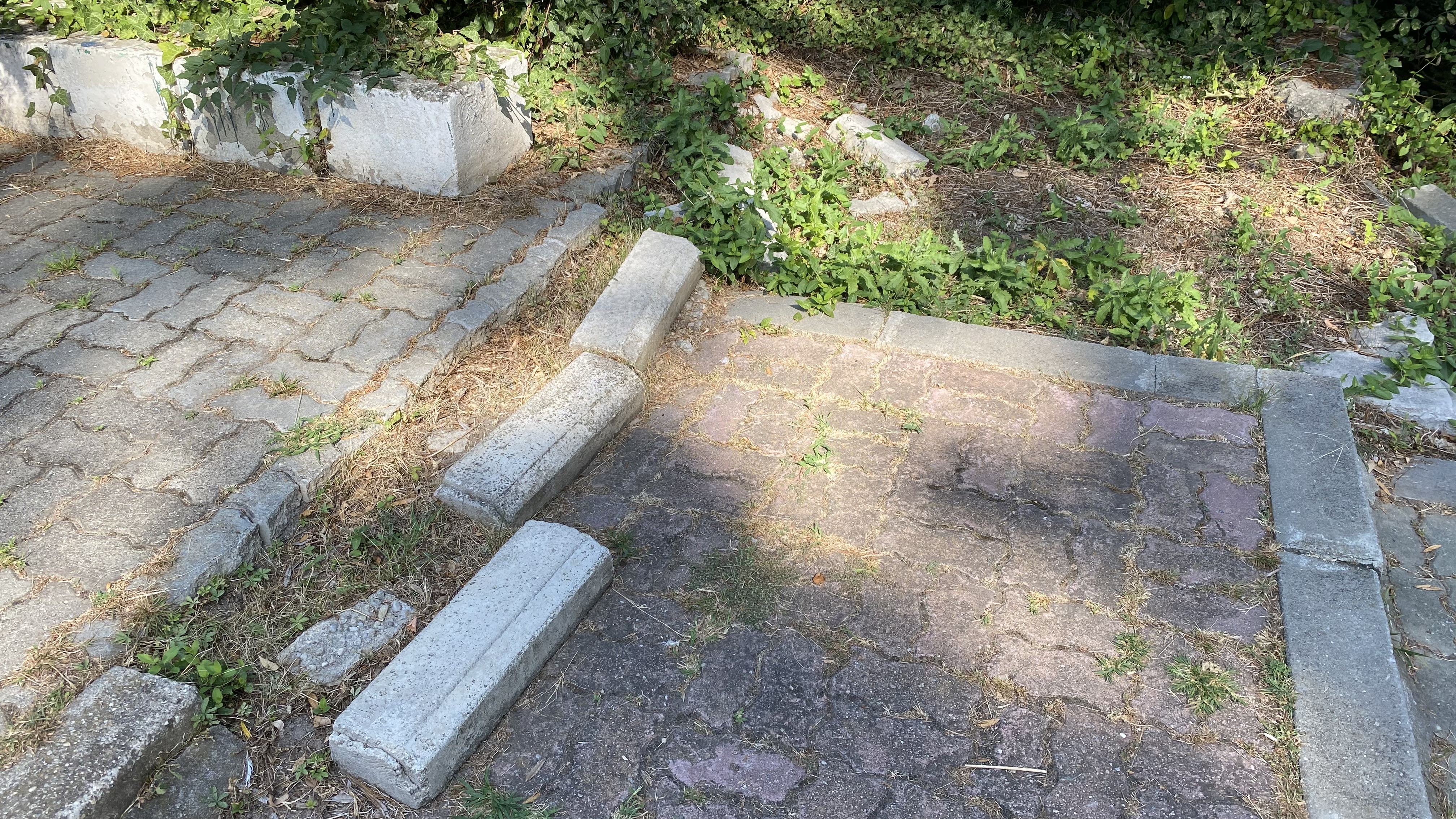 FOTO. Herăstrău, cel mai mare parc al Bucureștiului, arată mai rău ca niciodată. Trandafirii și zonele cu flori sunt istorie, clădirile pentru expoziții au fost vandalizate