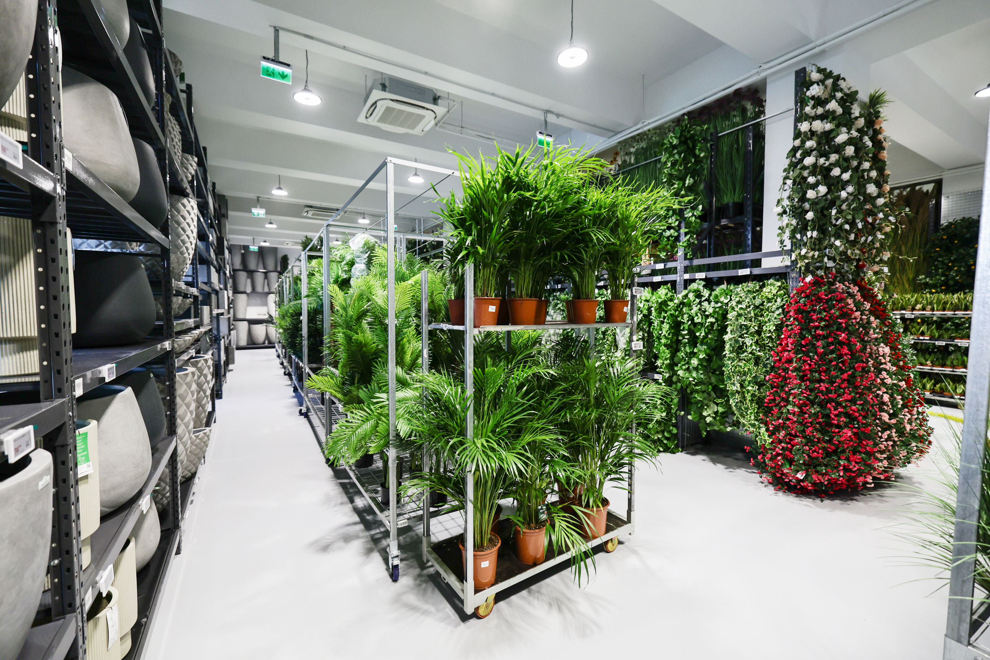 Mall-ul de plante din București are cinci niveluri cu peste 1.200 de soiuri, ghivece inteligente și un mesteacăn artificial care costă cât un apartament