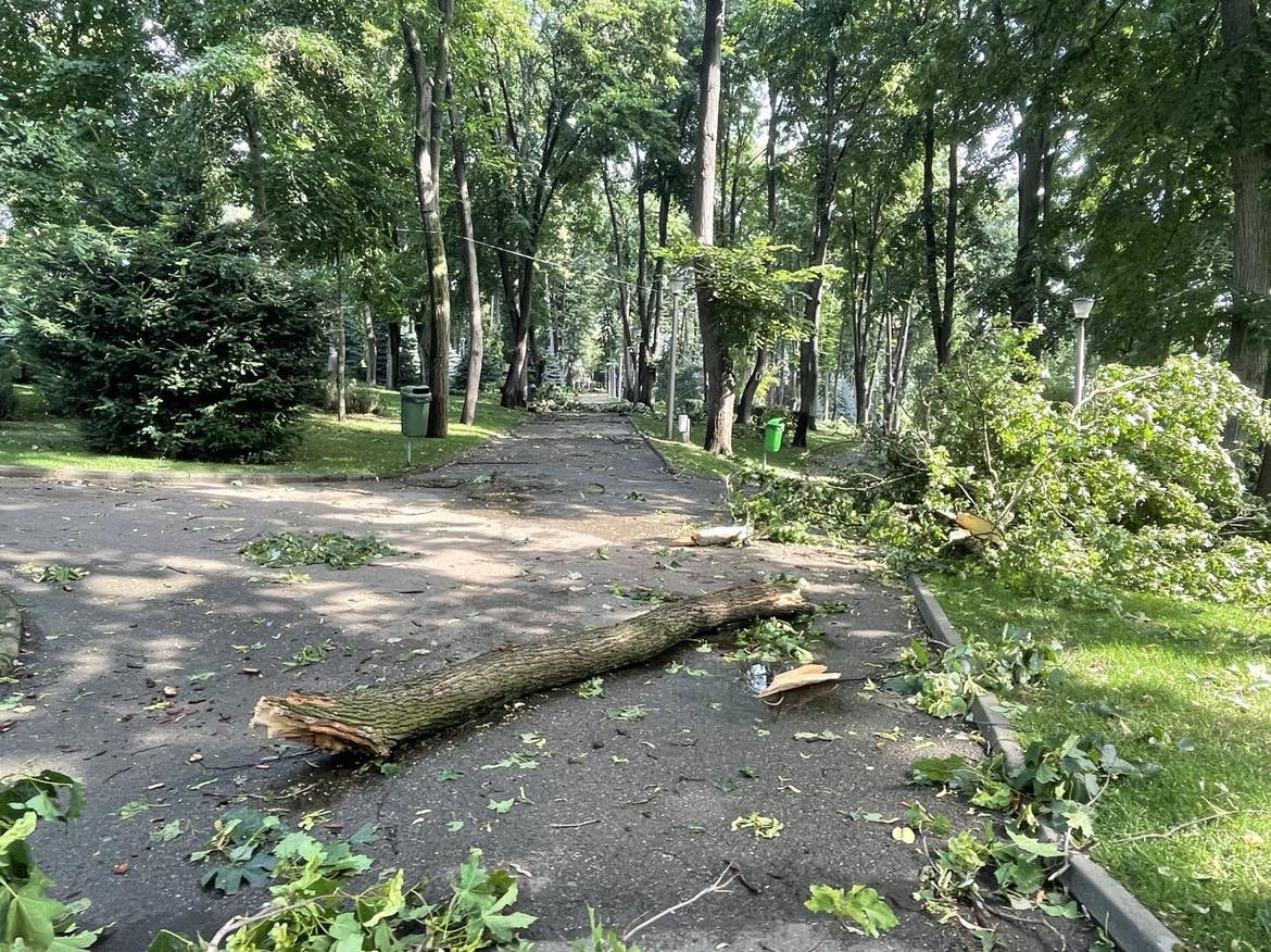 Cum arată Parcul Copou din Vaslui după ce a fost lovit de o furtună violentă. Copaci de 10 metri înălțime, smulși din rădăcină 