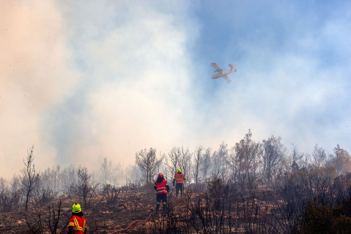 Incendii de vegetație în Grecia. O persoană, găsită decedată într-un magazin distrus de flăcări, la periferia Atenei