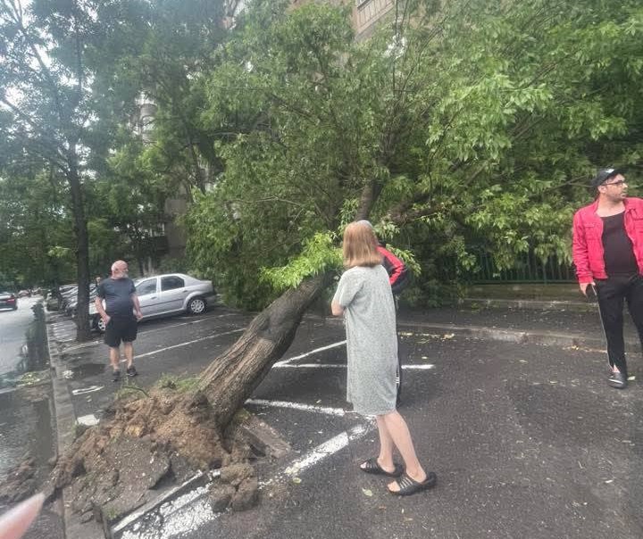 Furtuna din București a lăsat prăpăd în urmă: mașini distruse, străzi inundate, copaci prăbușiți
