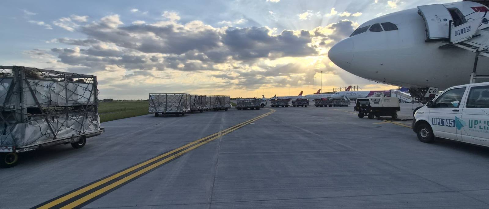 Peste 4.000 de oi, trimise din România în Algeria cu avioane cargo: „Au ajuns în siguranță în două ore și jumătate”