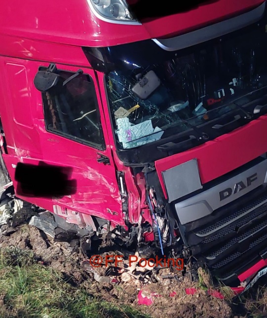 Șoarecii și peștii de acvariu au scăpat cu viață din duba care s-a făcut praf de camionul unui român, în Germania
