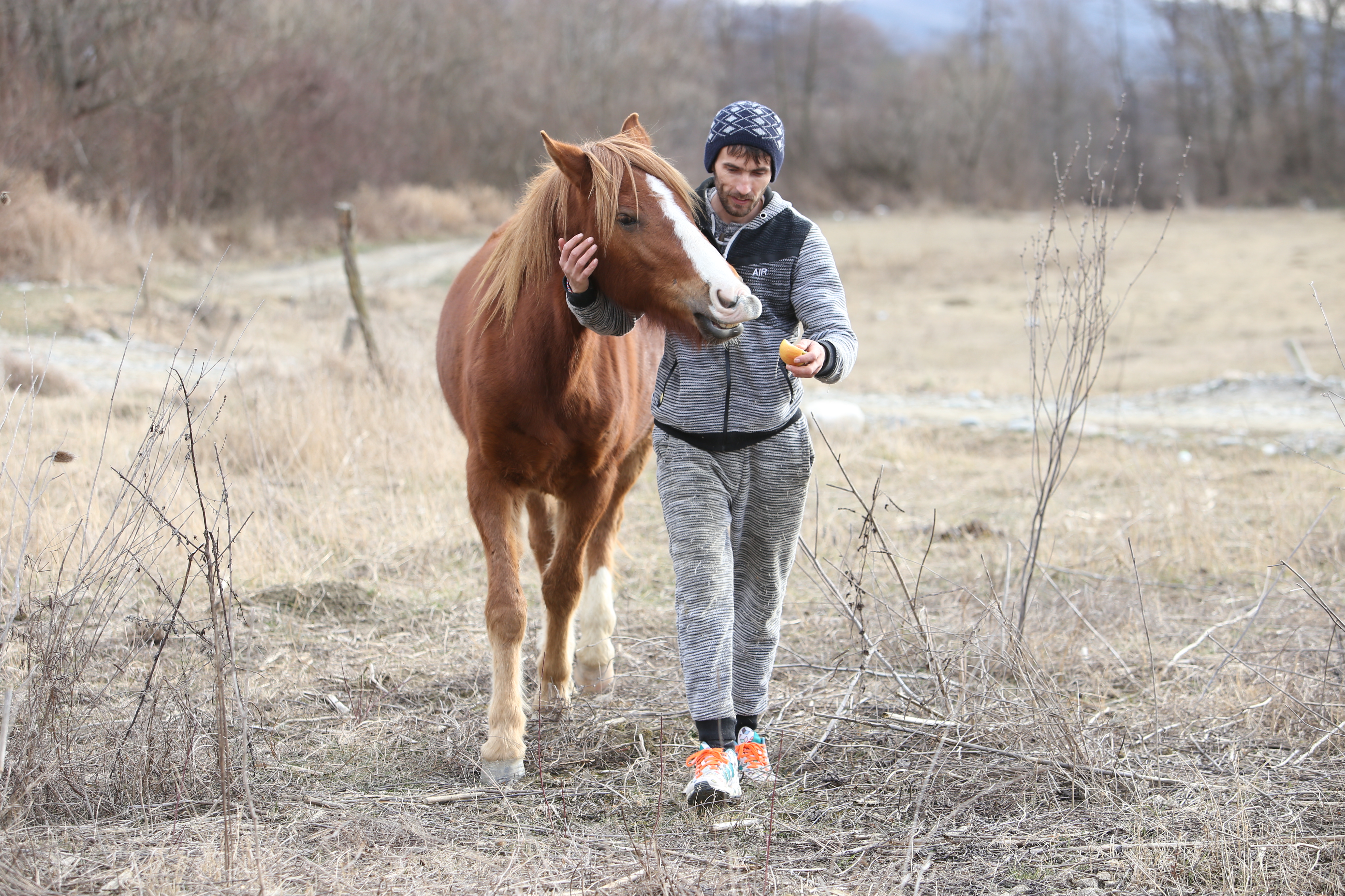 Povestea tristă a lui Papi, un pui de căprioară rănit, a însemnat începutul unui proiect uimitor: Sanctuarul Papi Land, locul unde animalele de fermă abuzate și torturate reînvață să trăiască