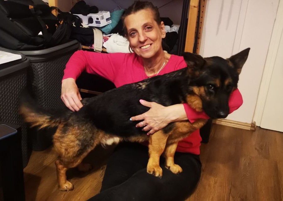 Ez kutyajó dolog! Terápiás masszázzsal gyógyítja az ebeket Böbe, avagy így dolgozik egy kutyamasszőr