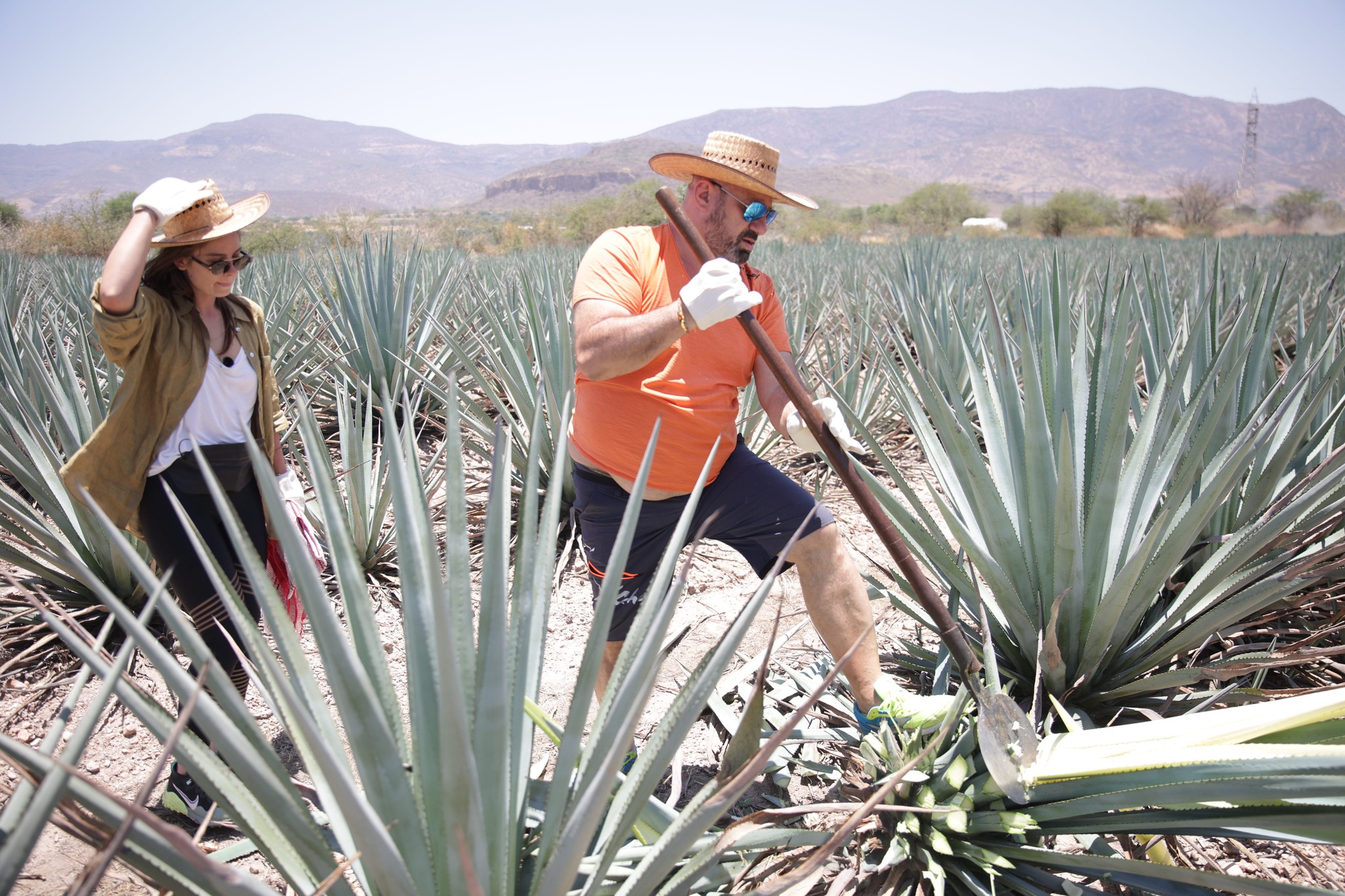 Tensiuni între Cătălin Scărlătescu și Doina Teodoru, la America Express: „Se activase tequila în dânsa. Nu mai puteam de nervi”