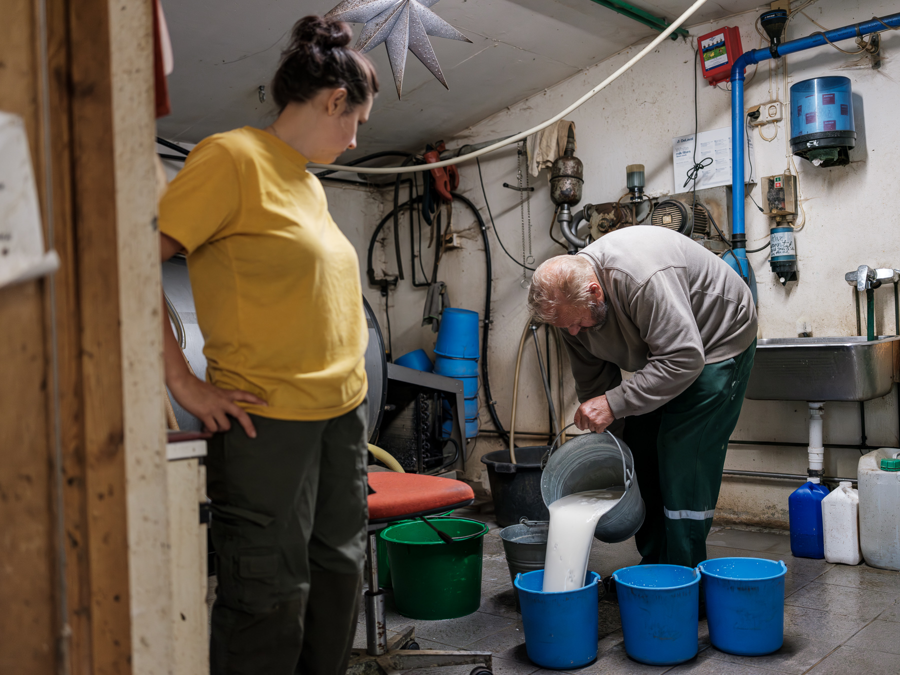 REPORTAJ. O româncă a plecat la 19 ani dintr-un sat din Bacău și a ajuns să candideze la alegerile locale din Norvegia: „Aici, când aud că ești fermier, oamenii își dau jos pălăria și îți spun «Mulțumesc pentru mâncare!»” 