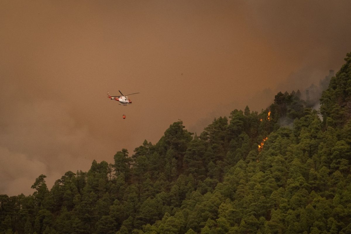 Incendiu de vegetație pe insula Tenerife. Cinci sate au fost evacuate. Focul „este puternic și se află într-o zonă complicată”