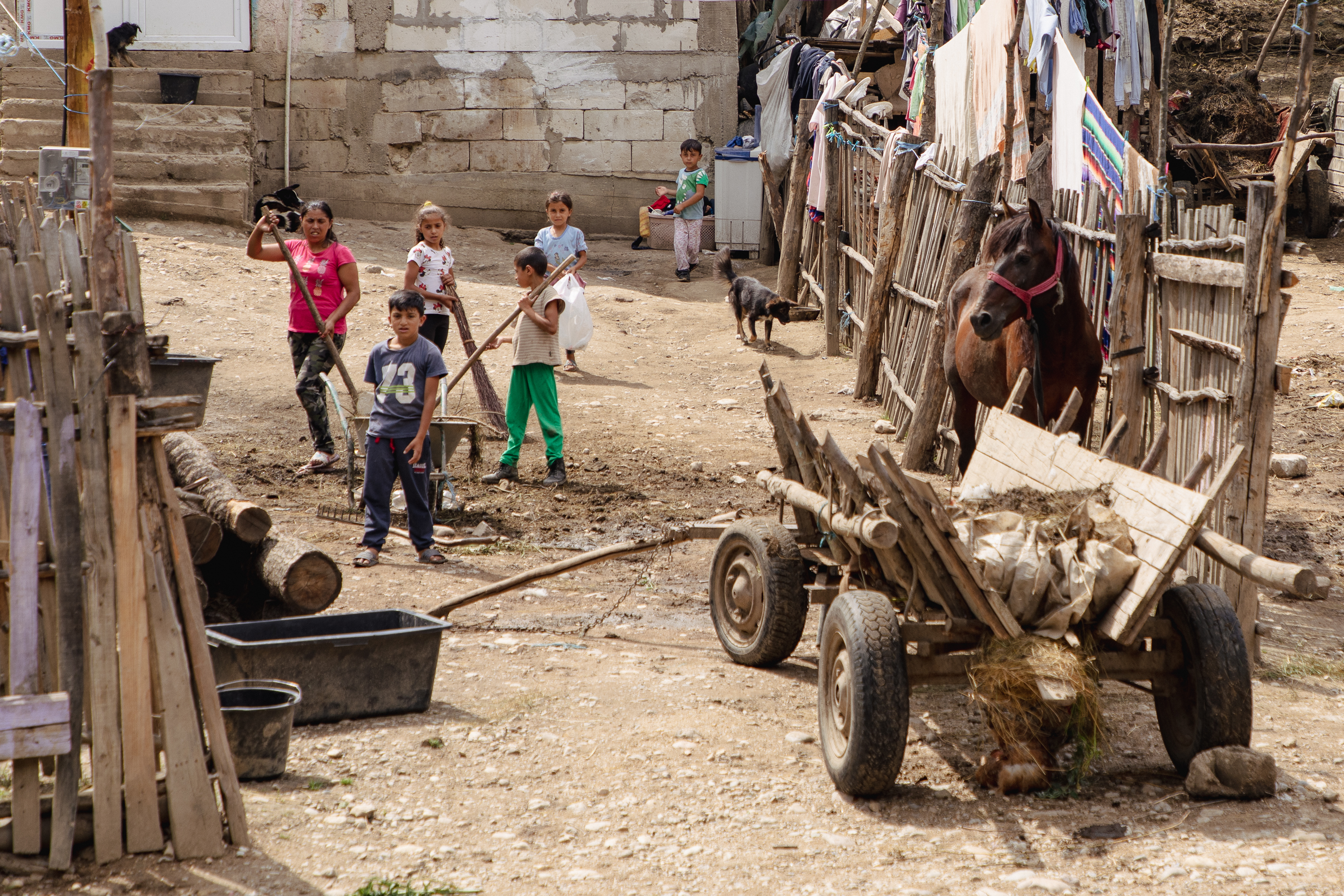 Fiindcă treceau prin pădure până la școală, generații întregi din cătunul Tufanu cu Icoana, Argeș, n-au ajuns să termine opt clase. Cum au luptat