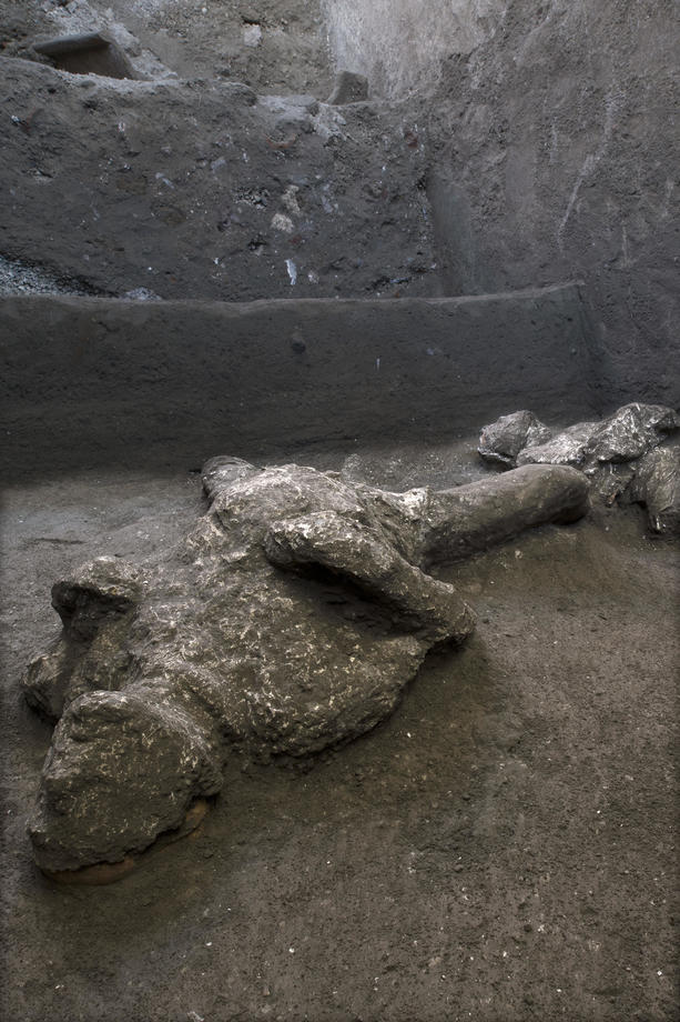 Rămășițele foarte bine conservate a doi bărbați uciși în erupția vulcanică de la Pompeii, descoperite de arheologi