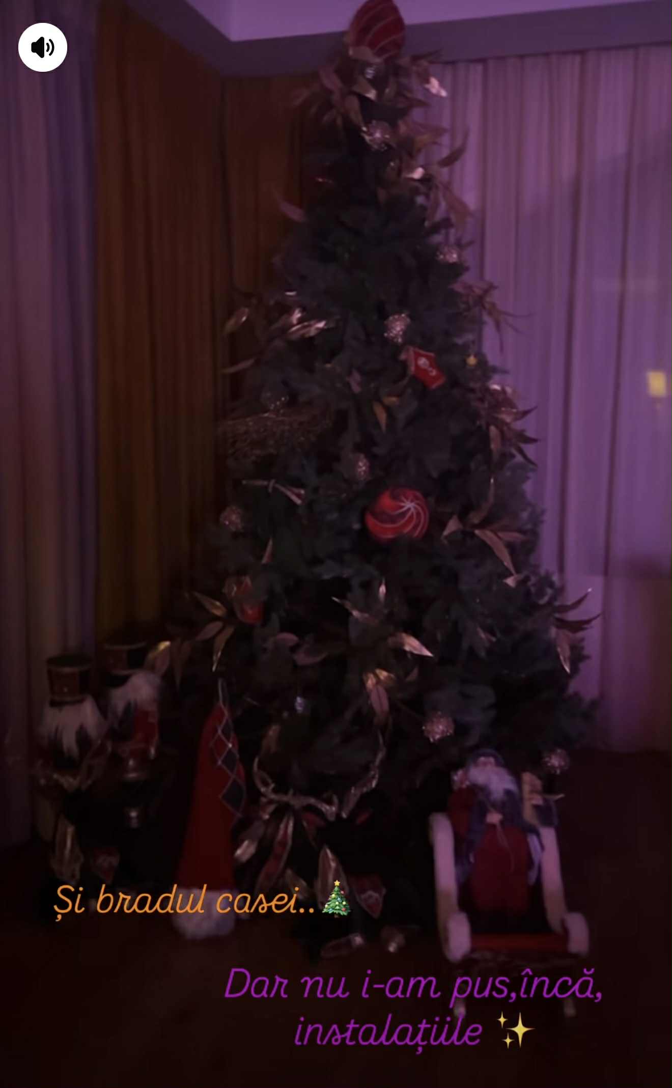 Cum arată cei patru brazi de Crăciun împodobiți de Mirela Vaida. Decor spectaculos și atmosferă de poveste în casa prezentatoarei