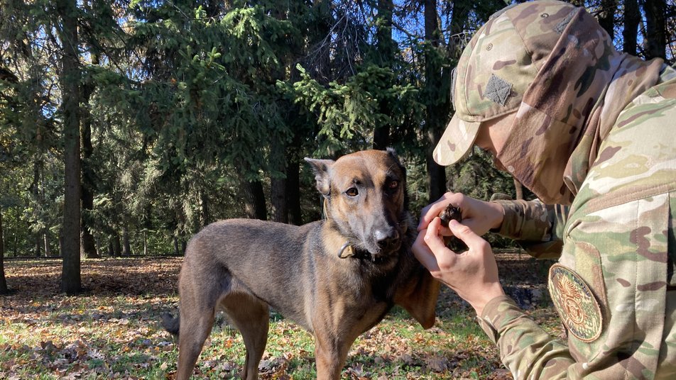 „Un miracol”. Un soldat care a părăsit combinatul Azovstal fără ciobănescul său german a găsit-o pe Jackie după patru luni