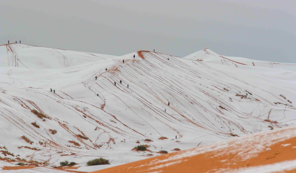 Dunele de nisip roșu din Sahara au devenit albe, după ce a nins