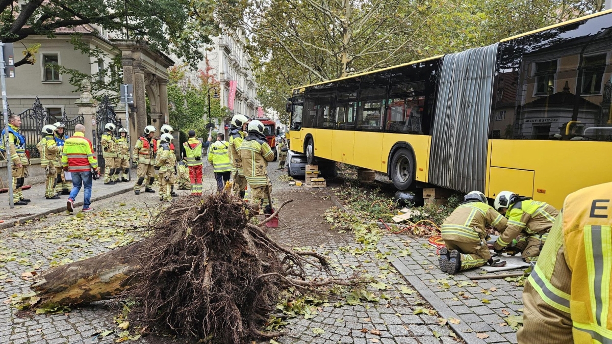 30 de victime printre pasagerii unui autobuz, care a smuls un copac din rădăcini și apoi s-a urcat pe o dubă, în Dresda