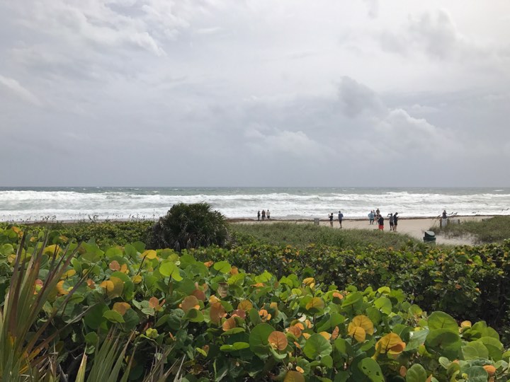 UPDATE | EXCLUSIV. Imagini din West Palm Beach, cu 24 de ore înainte de trecerea uraganului Irma (Foto & Video)