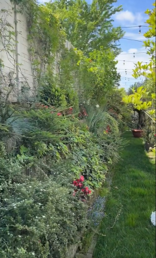 Imagini noi din grădina Andreei Marin. Are mulți trandafiri înfloriți, dar și plante aromatice, spanac și răsaduri de roșii