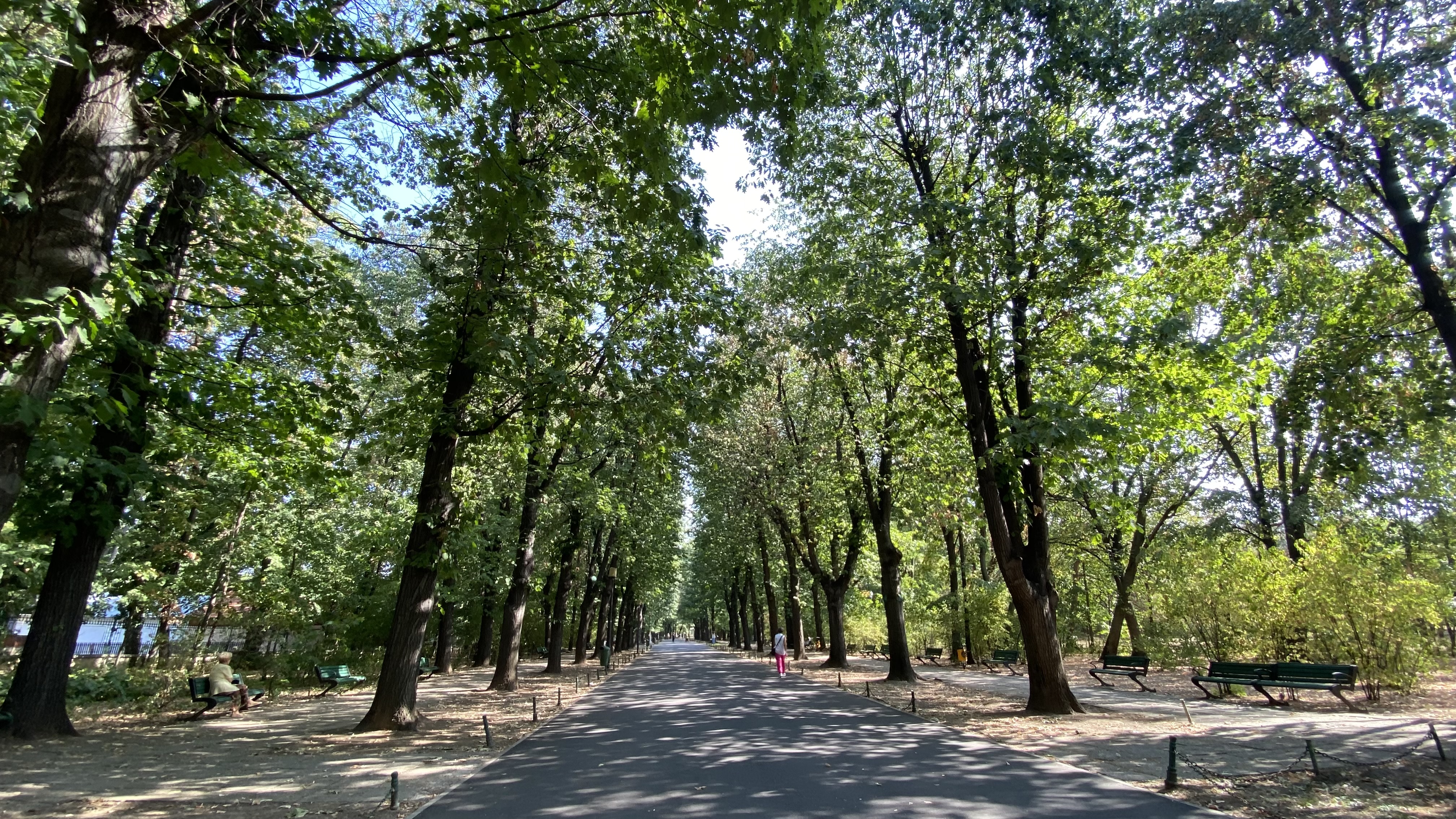 FOTO. Herăstrău, cel mai mare parc al Bucureștiului, arată mai rău ca niciodată. Trandafirii și zonele cu flori sunt istorie, clădirile pentru expoziții au fost vandalizate