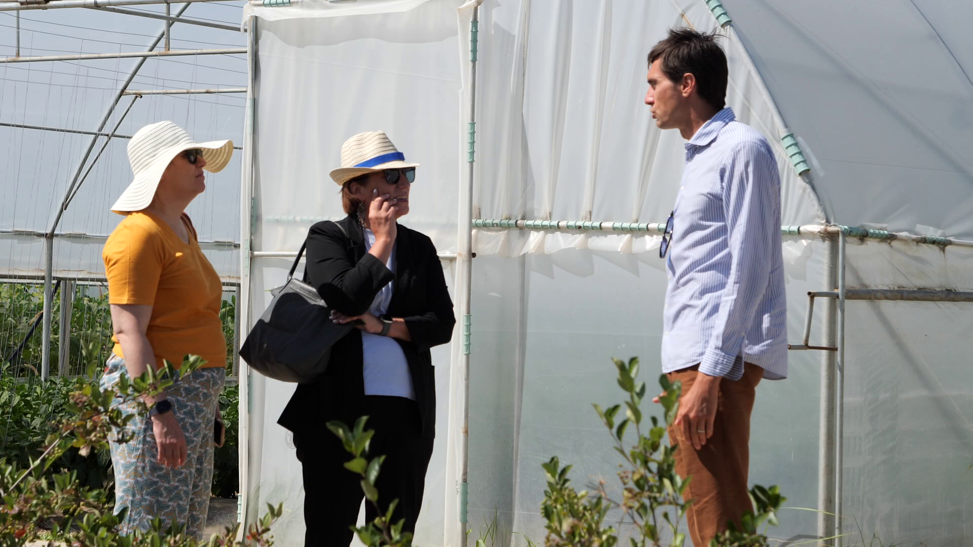 Ciprian Tătărușanu s-a apucat de agricultură și cultivă ardei iuți, dovlecei și vinete pe o suprafață de 10 hectare, în județul Dâmbovița