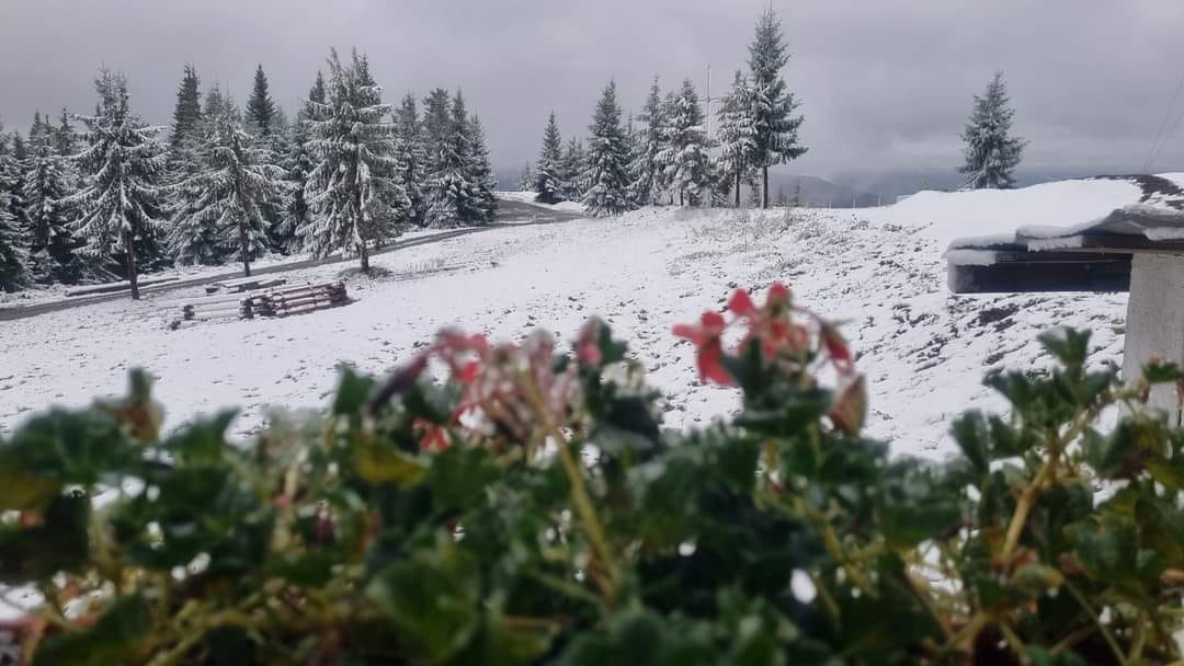 A nins pe Transalpina. Drumarii intervin cu utilaje şi dau cu material antiderapant | VIDEO