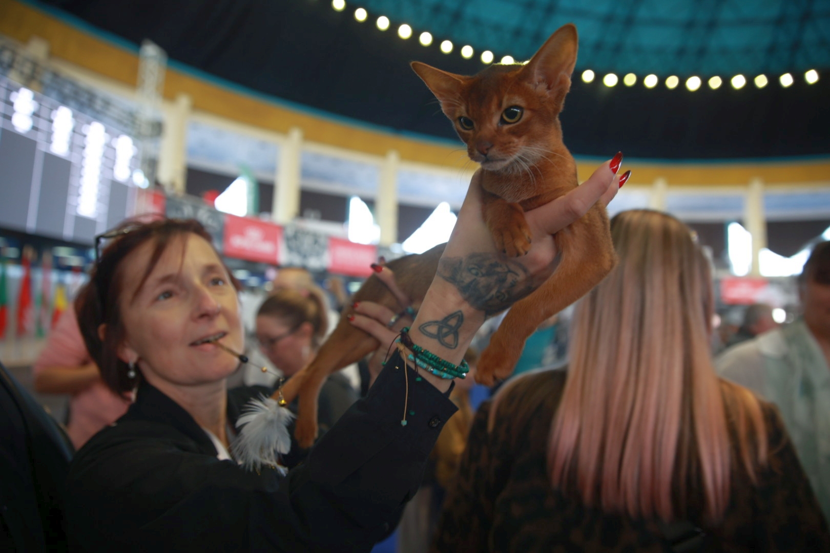 Libertatea a mers la Campionatul Mondial Felin. Bucureștiul, capitala mondială a pisicilor: peste 750 de feline din întreaga lume au strălucit la Romexpo
