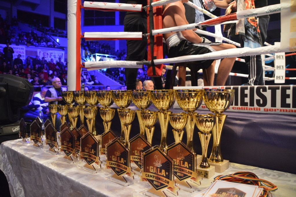 Centura IBA Inter Continental a rămas la Arad. Gala, transmisă și în Ungaria