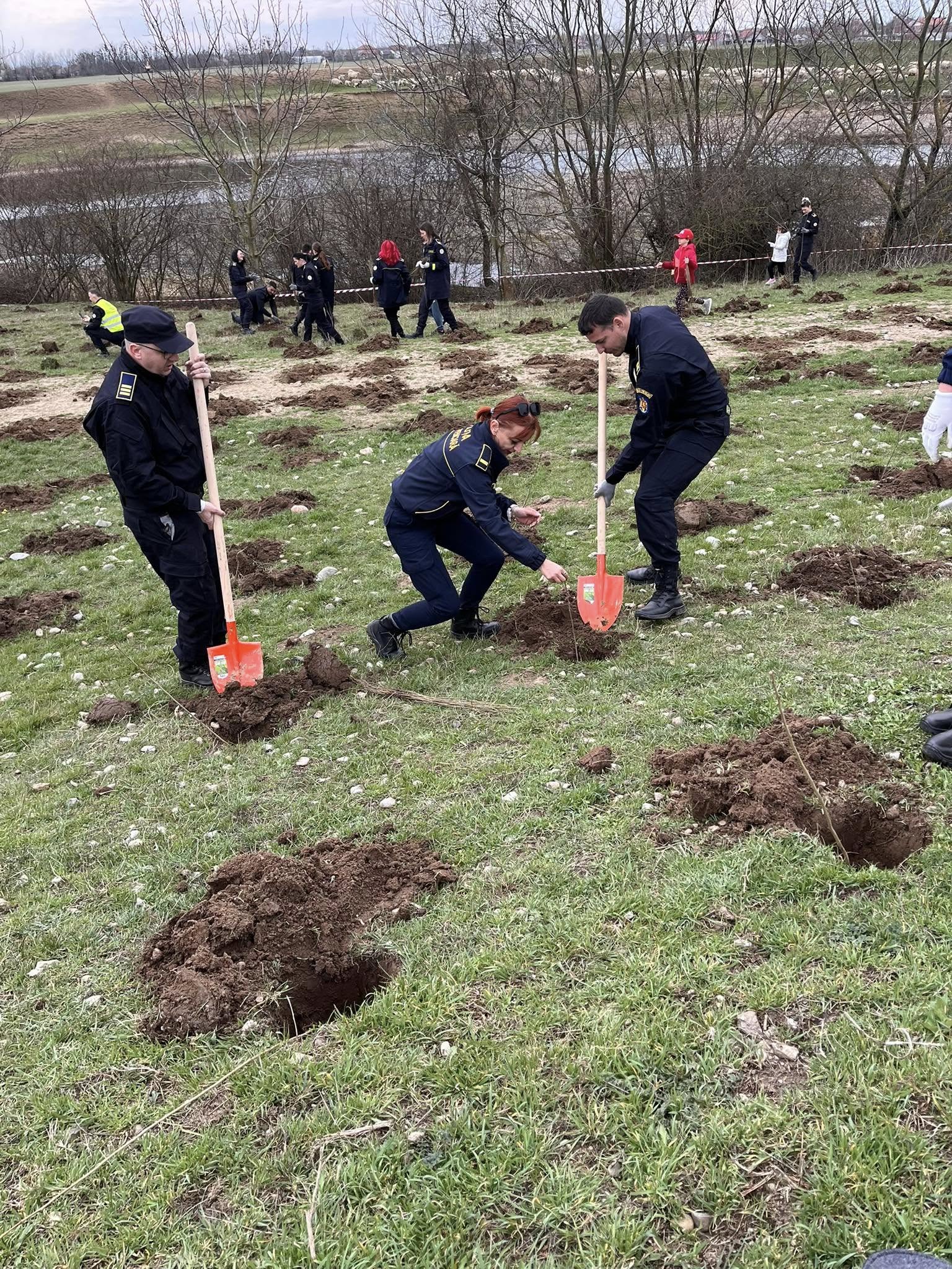 Acțiune ecologică de amploare în Oradea. Peste 5.000 de voluntari au transformat malul Crișului Repede într-o pădure vie