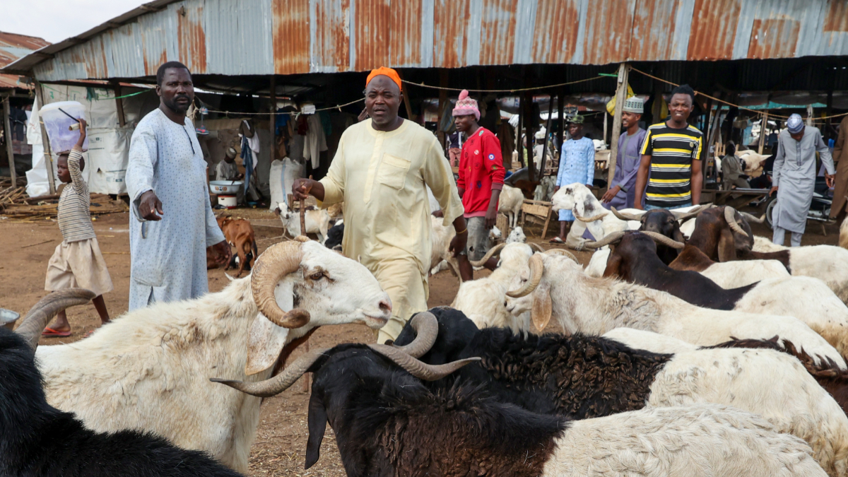Livestock Market. [Getty Images]