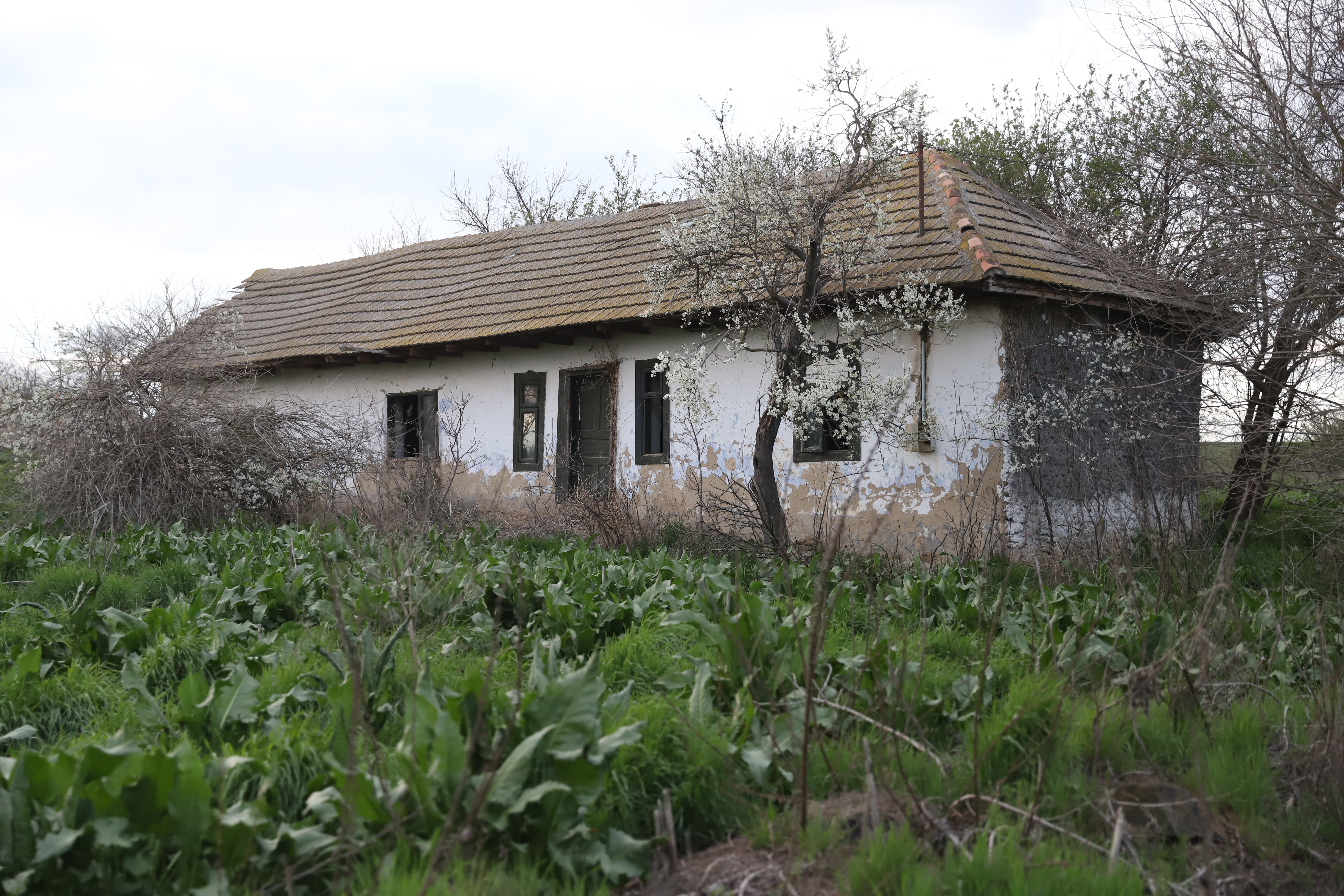 Doar șase oameni mai trăiesc în satul din Dobrogea unde s-a născut Sfântul Ioan Casian, care a zidit două mănăstiri la Marsilia
