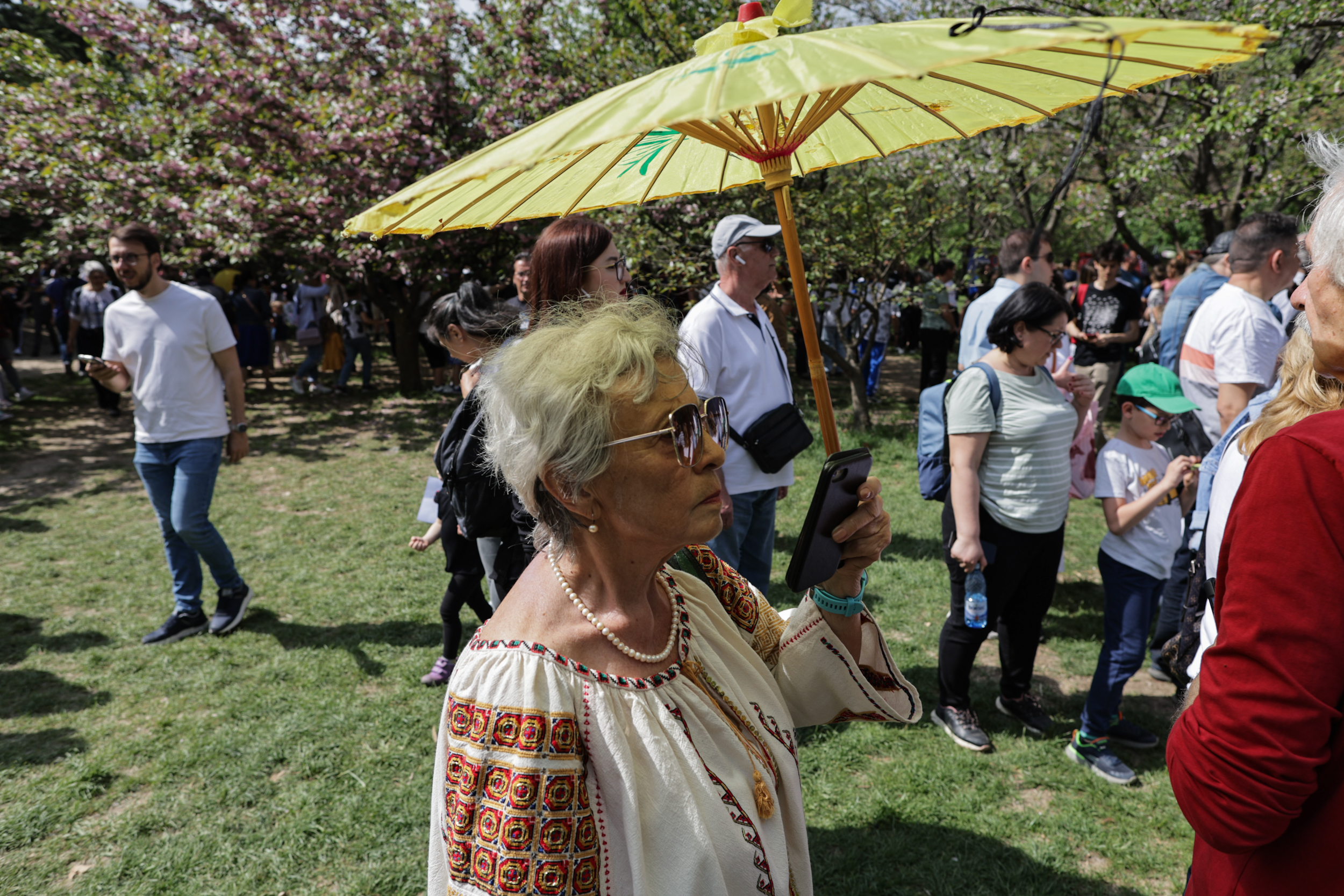 FOTO. Au înflorit cireșii în Grădina Japoneză din Parcul Herăstrău. Sute de persoane au asistat la „Festivalul Florilor de Cireș”