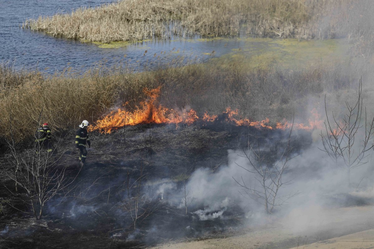 Incendiul din Delta Văcărești, stins după două ore. Ce suprafață a fost afectată