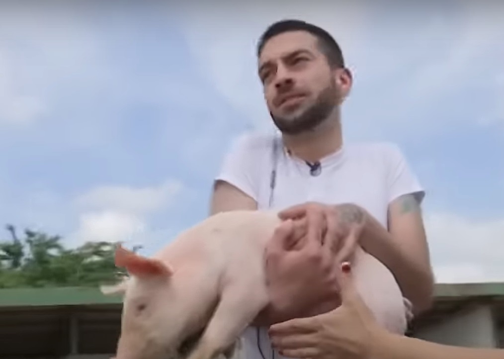 David Pușcaș a dat probe de angajare la o fermă. Când a văzut purceii, a început să urle: „Am crezut că mă mușcă de picioare”